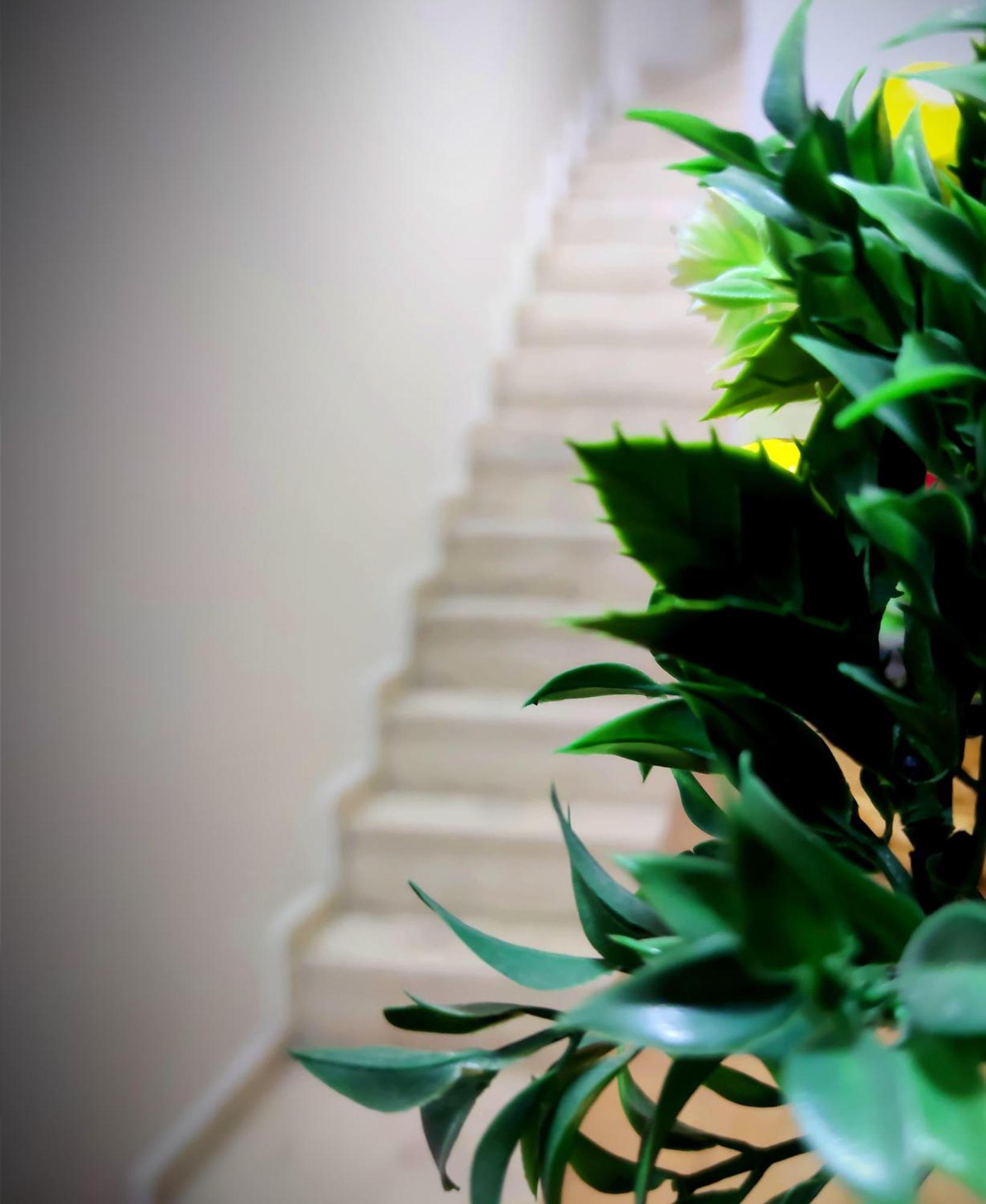 Mimoza Istiklal Apart Hotel 이스탄불 객실 사진